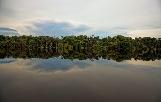 La forêt amazonienne et ses eaux miroirs